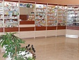 Pharmacy № 6